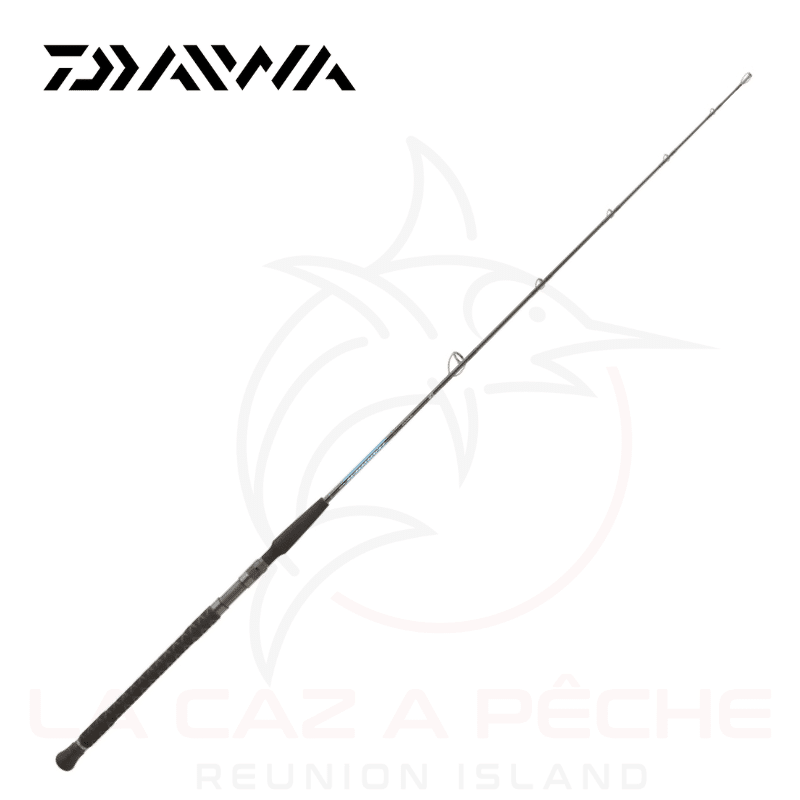 Canne HARRIER Slow Jigging Daiwa - La Caz a Peche